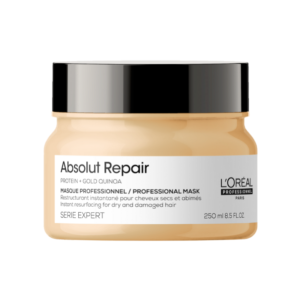 L'Oréal Serie Expert Absolut Repair Mask Masque